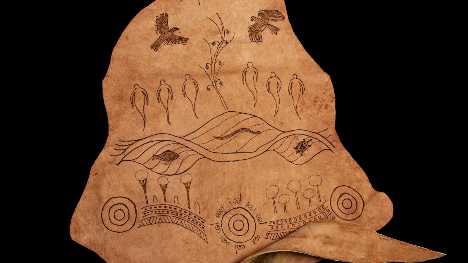 Scene Through the Screen