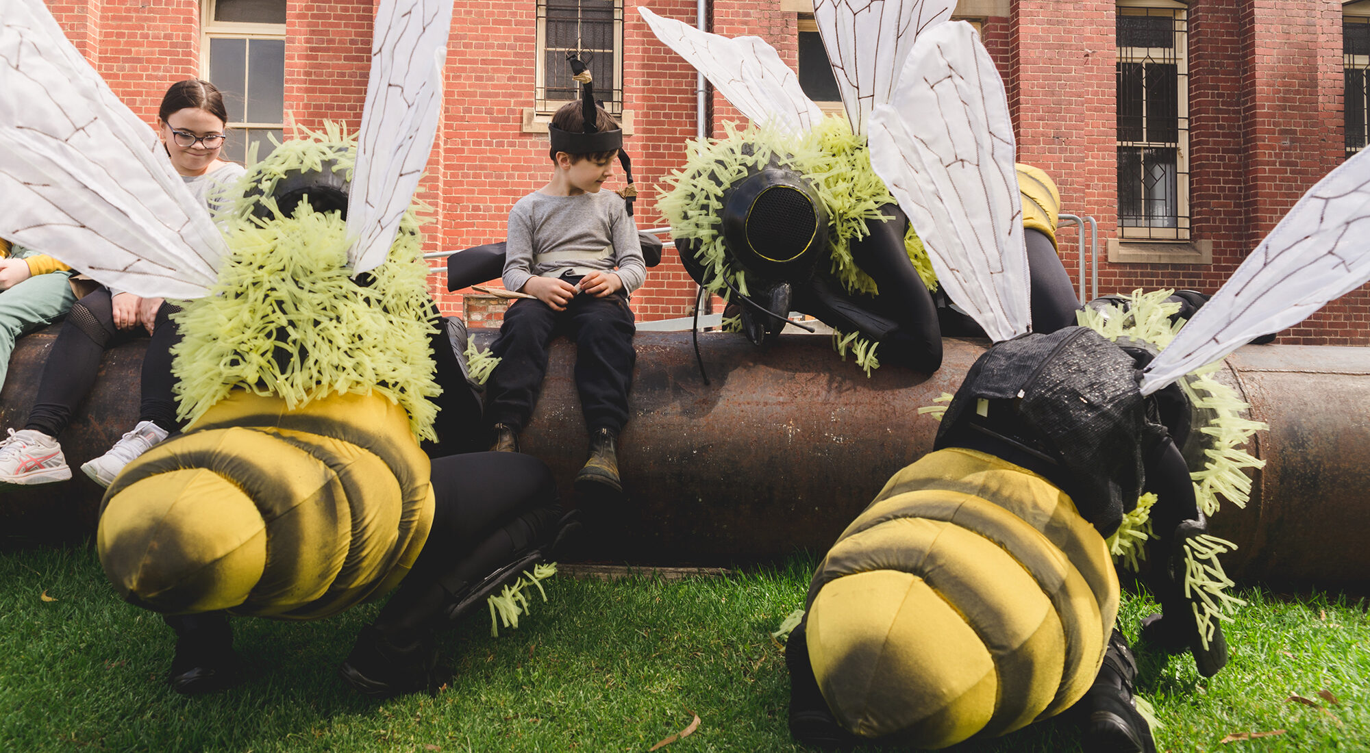 A child sat next to some bees.